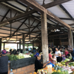 La rencontre des Ceser de France en Guyane, Journée 7