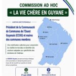 Audition des maires des communes membres de la Communauté de Commune de l’Ouest Guyanais (CCOG) de la Commission Ad’ hoc dédiée à la problématique de la vie chère